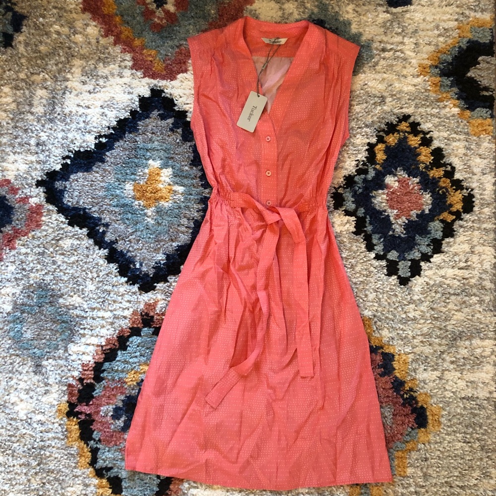 Tucker midi tiny dot dress